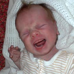 Sjansen for at spedbarn fullammes frem til seks måneders alder er mindre hos barn med vanskelig enn med roligere temperament